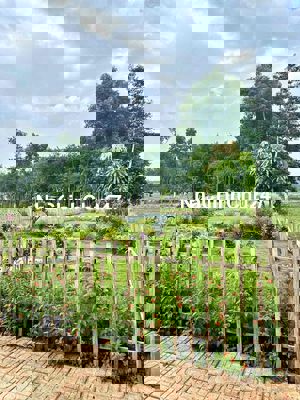 CHÍNH CHỦ GỬI GẤP - TUYỆT PHẨM VIEW HỒ NGHỈ DƯỠNG GIÁ ĐẦU TƯ