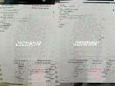 Bán đất chính chủ- Gò sao, Tân Phú, Đức Hoà, Long an