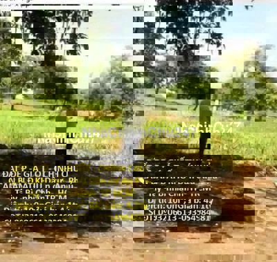 CHÍNH CHỦ CẦN BÁN ĐẤT KHU Dân cư An Phú Tây - Bình Chánh- TP HCM