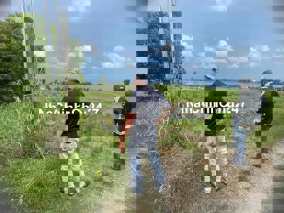 Chính chủ bán ấp nhơn hoà gần chợ đức hoà thượng