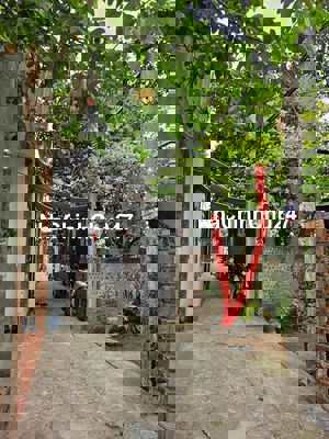 CHÍNH CHỦ CẦN BÁN MẢNH ĐẤT 42M  PHỐ BẮC CẦU - NGỌC THUỴ GIÁ RẺ