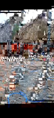 Đất vườn chính chủ