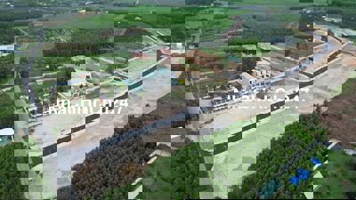 CHỦ NGỘP BÁN GẤP FULL THỔ CƯ, SỔ RIÊNG, ĐỐI DIỆN KHU TĐC P.TÂN TRIỀU