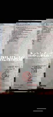 Chính chủ bán đất tặng nhà vườn full nội thất xuân thiều 36