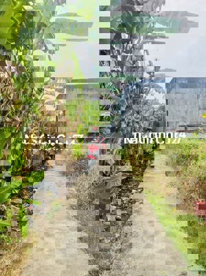 Bán đất chính chủ ko qua mua giới