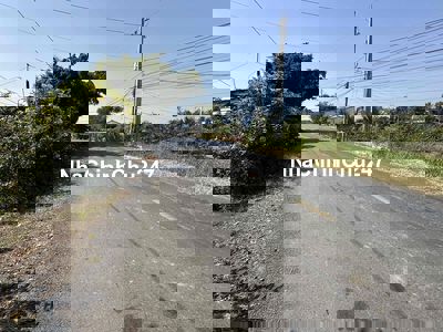 ⭐️Chính chủ ⭐️ MT Cao Thị Mai 5x55m thổ cư. Đường chính về TT Tân Trụ