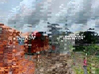 🔥 CHỦ BÁN GẤP – ĐẤT MẶT TIỀN ĐƯỜNG NHỰA GẦN TL7, THÁI MỸ – CỦ CHI