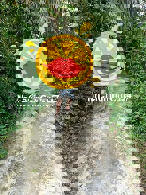 Chính chủ bán gấp đất nền thổ cư 100m giá 495 triệu Phong Điền Cần Thơ