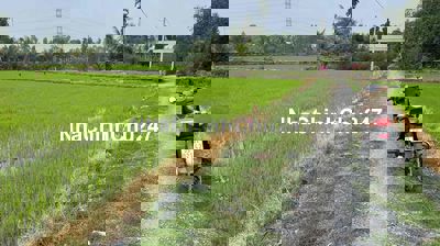 chủ ngộp cần bán trả nợ