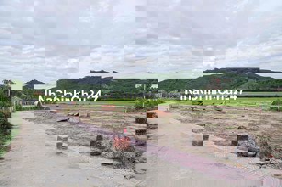 CHÍNH CHỦ BÁN ĐẤT THÔN AN THÀNH, DUY TRUNG, DUY XUYÊN