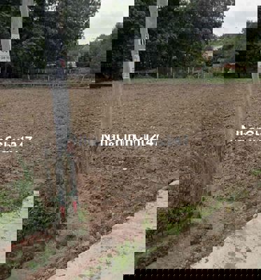 Chủ gửi 3 lô liền kề mt bê tông thông tứ phía cách DH 200m