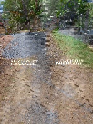 Chính chủ Cần Bán đất Thổ Cư ngay dự ánVin Hậu Nghĩa ,Đức Hòa, Long An