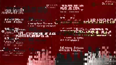 Căn hộ FPT Plaza 4, giỏ hàng đợt đầu trực tiếp chủ đầu tư