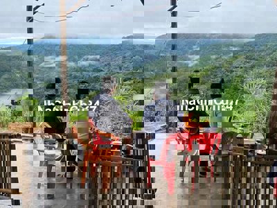 Chính chủ Bán mảnh vườn có sẵn nhà, ao cá, cafe, view săn mây cực đẹp.