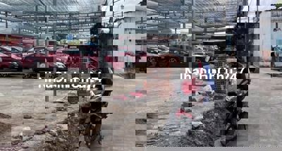 CHÍNH CHỦ BÁN ĐẤT HẼM XE HƠI-SHR-NGUYỄN VĂN TẠO-LONG THỚI, NHÀ BÈ.