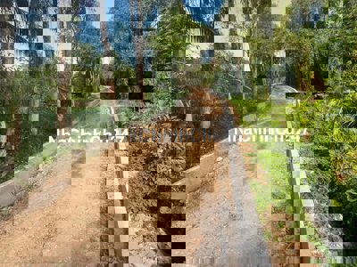 chính chủ gửi lo đất mặt tiền xông (13.5x82 ) giá 15 tỷ