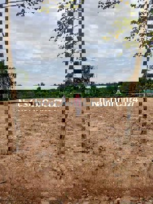 Bán đất phân lô, chính chủ, pháp lý rõ ràng, SH riêng, công chứng ngay