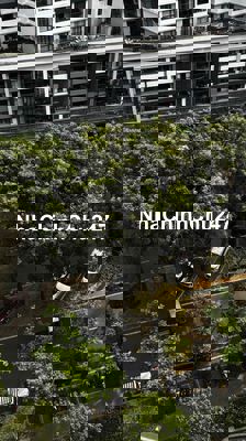 Chính chủ bán căn hộ Diamond Alnata Plus view Đại Lộ như hình 😍