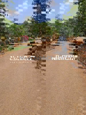 Chủ cần tiền bán gấp miếng đất 202m2