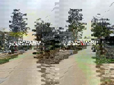 Bán đất chính chủ mặt đường 317