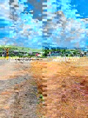 Chủ kẹt Tiền nhờ bán lô đất 150 triệu tiêu tết