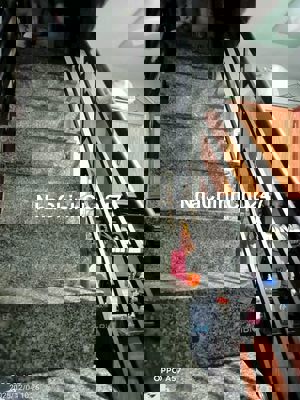 Nhà y hình chình chủ 1768/Tỉnh Lộ 10 Bình Tân