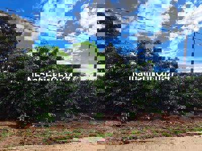 Đất chính chủ Liên Hiệp, Đức Trọng – có thổ cư, cách QL27 chỉ 50m