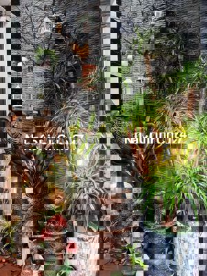 Chính chủ bán nhà Lĩnh Nam 46m2