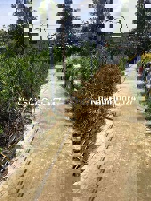 Cần Bán Đất Chính Chủ Cần Giờ