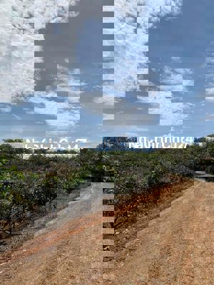 Chính chủ cần ra gấp lô đất vườn 2400m2 sổ sẳn