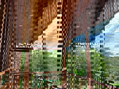 🏡 CHÍNH CHỦ BÁN ĐẤT VƯỜN VIEW HỒ TRỊ AN – 1.150m² – GIÁ 1,25 TỶ