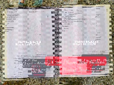 Chính chủ bán đất đường 10,5m Phạm Hữu Nghi - Hòa Xuân - Hướng Nam