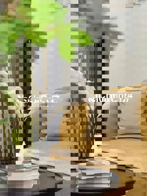 CHÍNH CHỦ BÁN NHÀ 2 TẦNG KIỆT MAI LÃO BẠNG