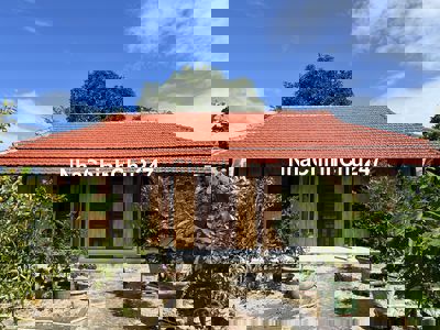 Vi bằng chủ tịch phường công chứng