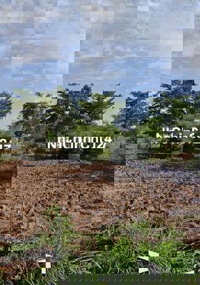 Chính chủ bán nhanh lô đất 02 mặt tiền thuận tiện kinh doanh