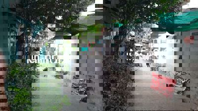 BÁN NHÀ 5×11 XUÂN THỚI ĐÔNG  HÓC MÔN (Chính Chủ)