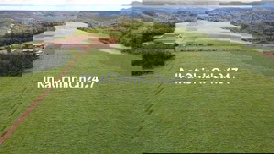 Chủ cần bán 38ha đất cây lâu năm , đã có sổ hồng