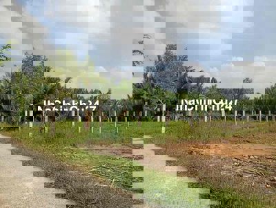 đất thổ cư chính chủ cần bán