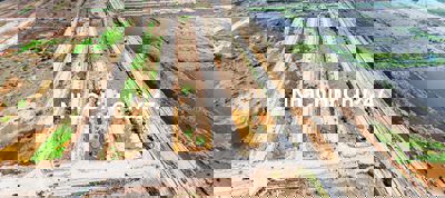 Mặt tiền Võ Văn KIệt chính chủ cần bán gấp  90m2 chỉ có 26tr/m2