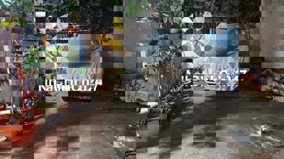 BÁN NHÀ CHÍNH CHỦ LÂU ĐỜI – CÁCH MẠNG THÁNG 8 – VUÔNG VỨC A4