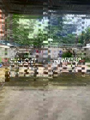 Chính chủ cần bán gấp