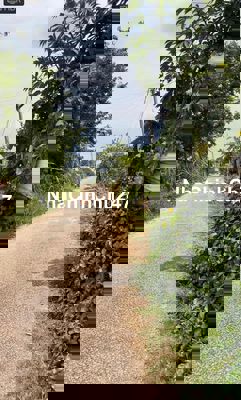 Bán đất chính chủ thị trấn Tân Phú, Đồng Phú – ra lộ 30giây