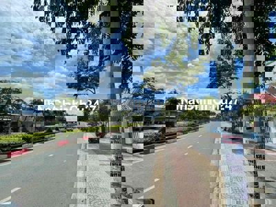 Bán đất chính chủ - Võ Thị Sáu Long Toàn 1890m - Kinh doanh