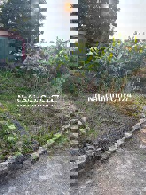 CHÍNH CHỦ bán đất Tân Ước, Dân Hoà, Thanh Oai - Sát Vinhomes Olympic