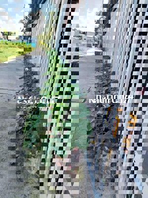 Đất đẹp cần chủ mới