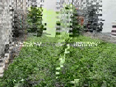 đất thổ cư chính chủ diện tích 297m2 full thổ cư