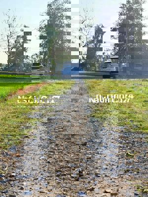 Mình Chính Chủ cần bán - ấp Bình Lợi, xã Hoà Khánh Đông