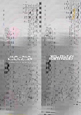 Nhà chính chủ, HXT, Quang Trung, P8, GV