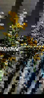 NHÀ CHÍNH CHỦ CẦN BÁN GAP GIÁ RẺ Q 3