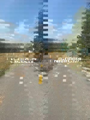 CHÍNH CHỦ GỬI BÁN 1900M² MẶT TIỀN ĐƯỜNG NHỰA  32M – GẦN CHỢ, TRƯỜNG